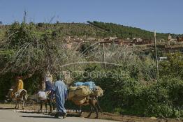 Image du Maroc Professionnelle de  Des berbères rentrent chez eux bien chargés après avoir fait leur courses au marché de Tnine Ourika, le village berbère située dans la vallée de l'Ourika sur la route de l'Oukaimden dans le haut Atlas, Mardi 27 Février 2007. (Photo / Abdeljalil Bounhar) 